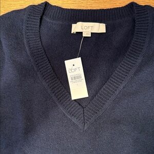 LOFT Men's Deep Blue V-Neck Sweater